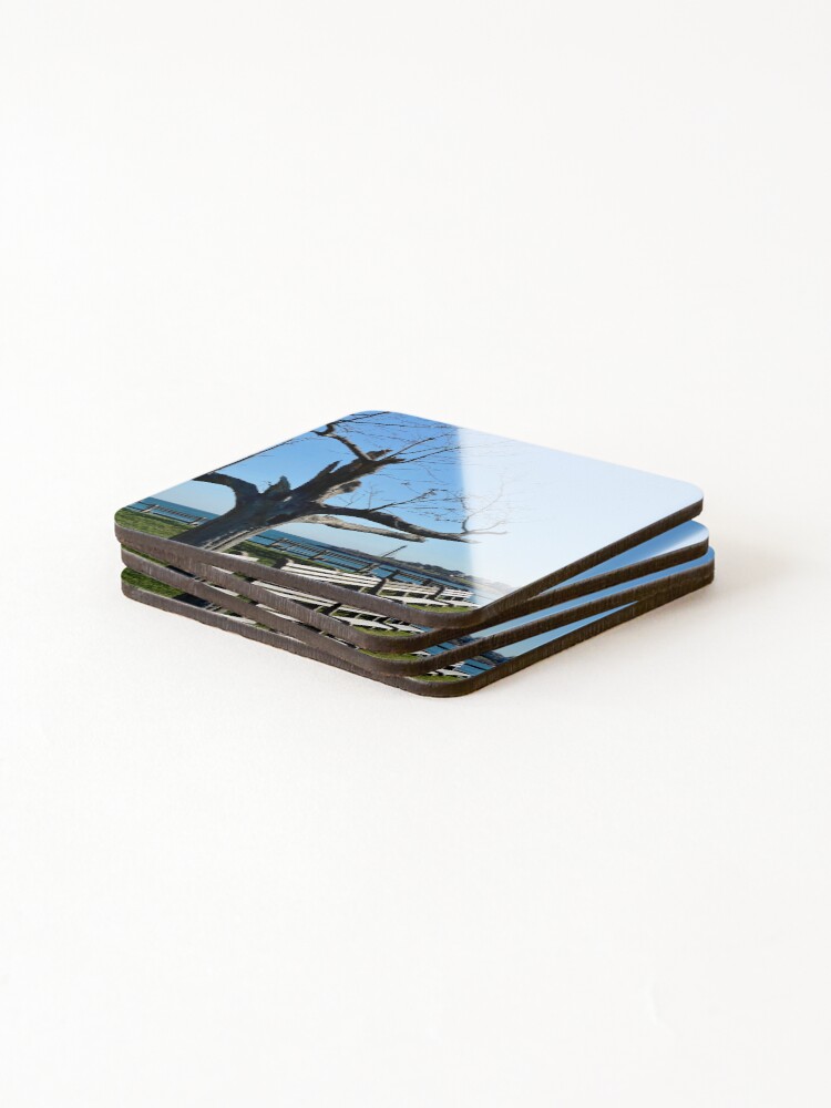 Thumbnail 4 of 5, Coasters (Set of 4), Tree Damage designed and sold by Ruthie33.