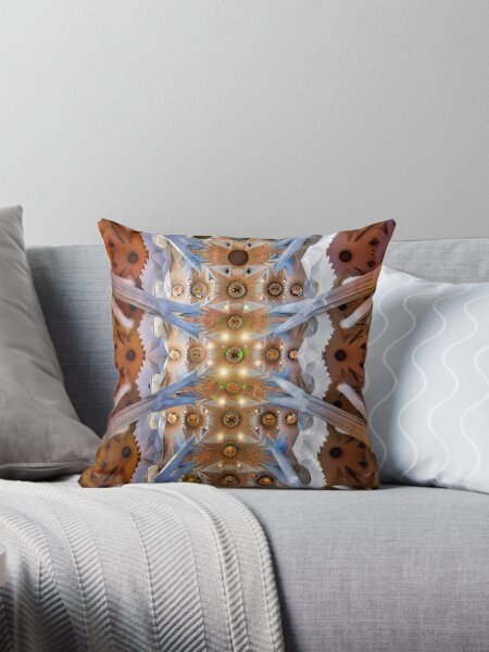 Item preview, Ceiling of La Sagrada Familia, Barcelona designed and sold by Paul Helsby.