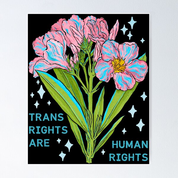 Artikel-Vorschau von Trans-Rechte sind Menschenrechte, designt und verkauft von fabfeminist.