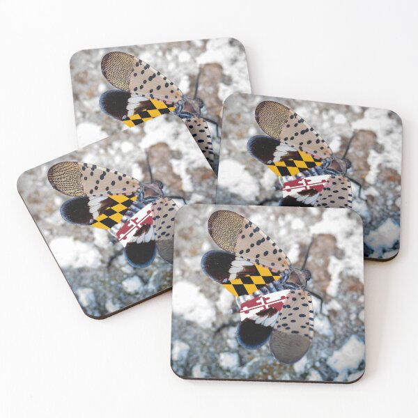 Item preview, Maryland Flag Spotted Lanternfly Photo designed and sold by Tara Stark.