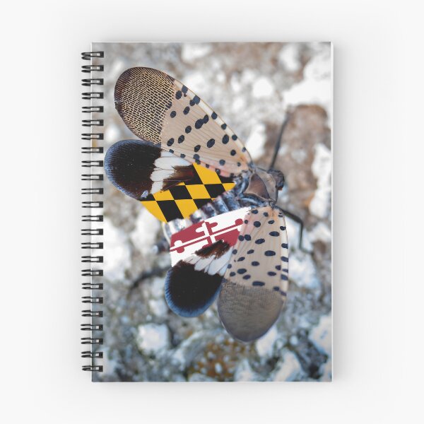 Item preview, Maryland Flag Spotted Lanternfly Photo designed and sold by Tara Stark.