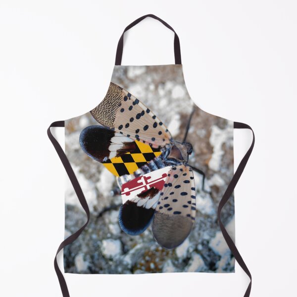 Item preview, Maryland Flag Spotted Lanternfly Photo designed and sold by Tara Stark.