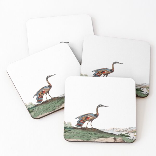Item preview, Exotic Bird Antique Engraving designed and sold by louisxvpod.