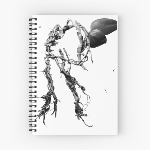 Item preview, Root designed and sold by Bejuko.