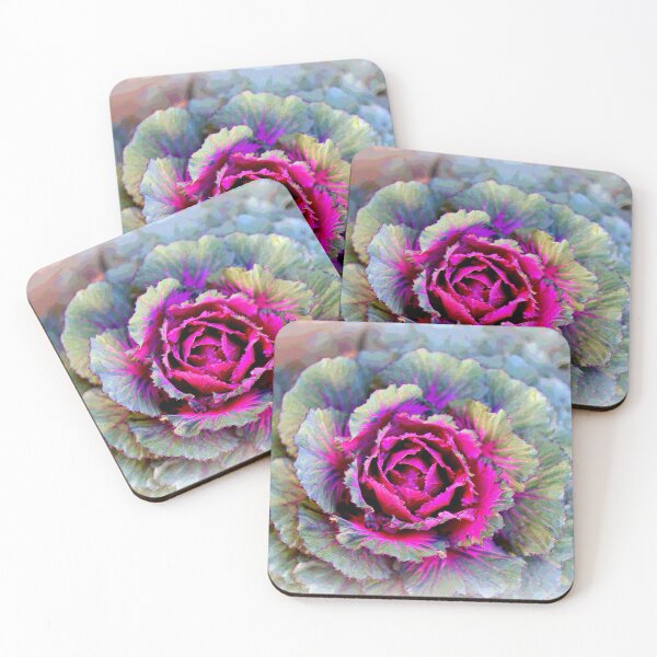 Item preview, Purple Hybrid Cabbage Plant designed and sold by BostonArcImage.