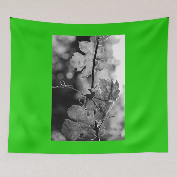 Item preview, Late summer memories leaves on branch black and white nature lovers designed and sold by eddiebarronshop.