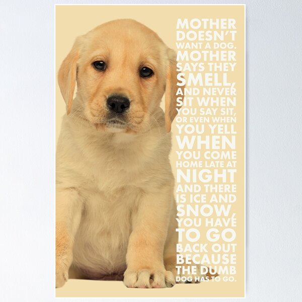 Colorful, cute dog quote design poem Poster