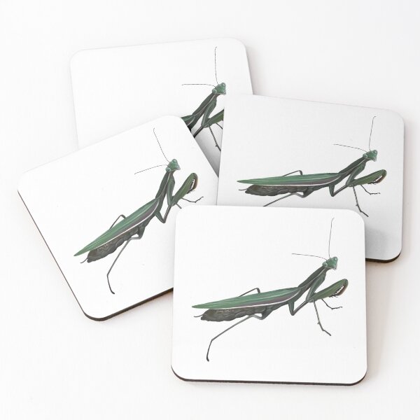 Item preview, Praying Mantis designed and sold by Wondersofwhimsy.