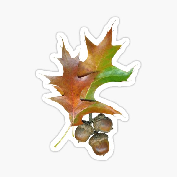 Item preview, Autumn Oak designed and sold by Lisa  Davis.