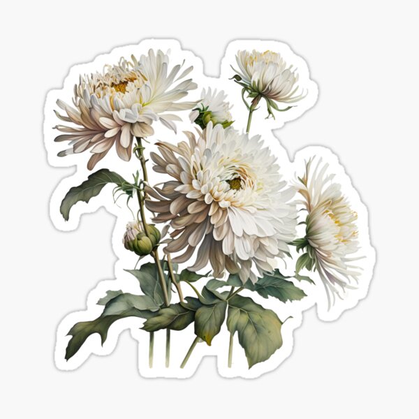 Chrysanthemum Stickers for Sale