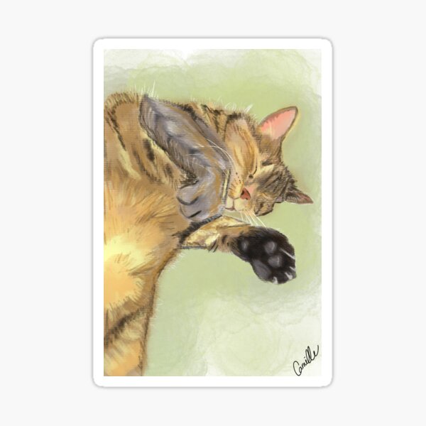 Vista previa del artículo con la obra «Siesta del gato», diseñado y vendido por Lucyalligator.
