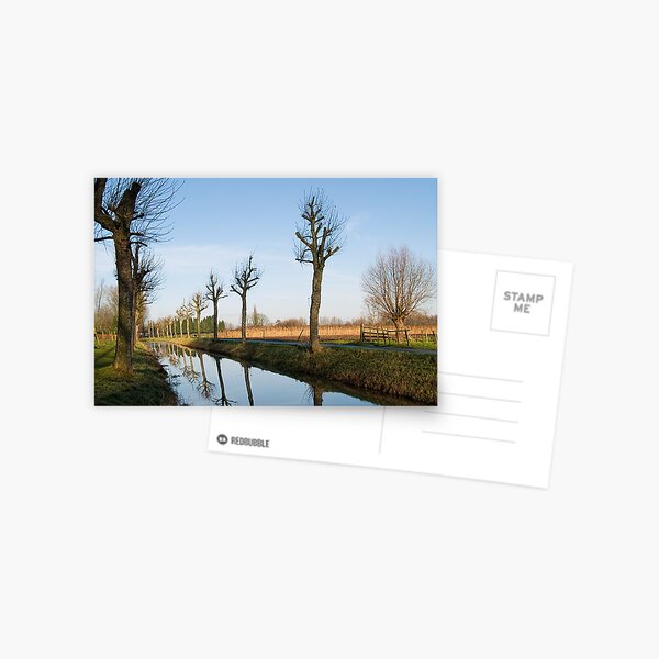 De Lieve Postcard