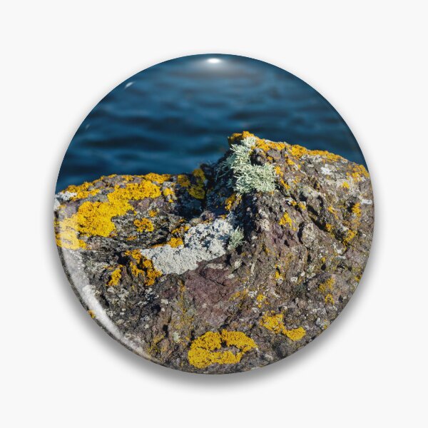 Item preview, North Berwick designed and sold by jasminewang.