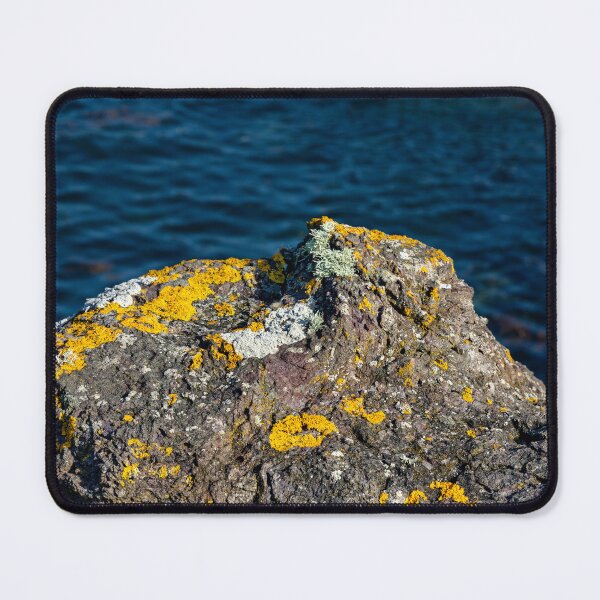 Item preview, North Berwick designed and sold by jasminewang.