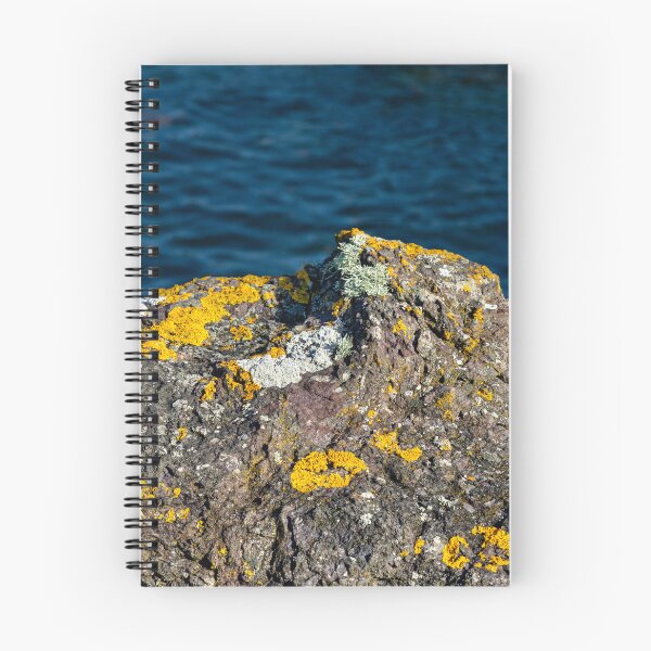 Item preview, North Berwick designed and sold by jasminewang.