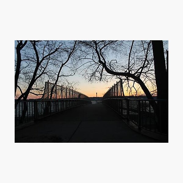 Evening, sunset, evening dawn, footbridge, tree branches, sky Photographic Print