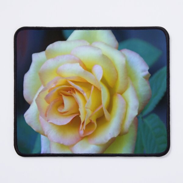 Item preview, Yellow Rose designed and sold by JohnDSmith.