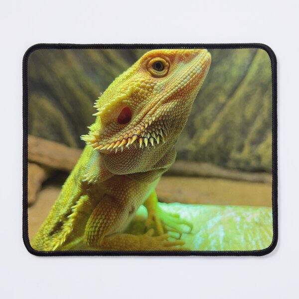 Item preview, Marvin the dragon designed and sold by Md1982.
