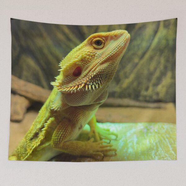 Item preview, Marvin the dragon  designed and sold by Md1982.