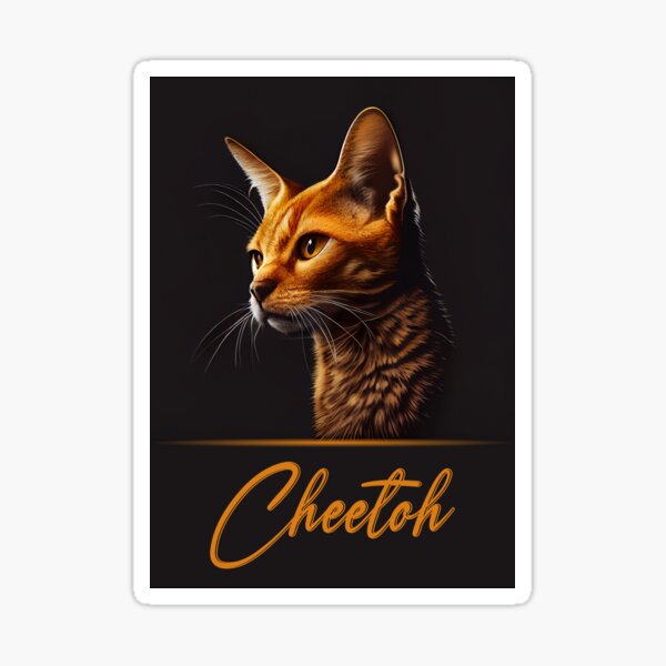 Cheetoh Portrait