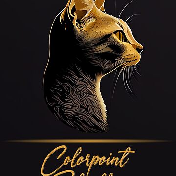 gato de pelo corto colorpoint