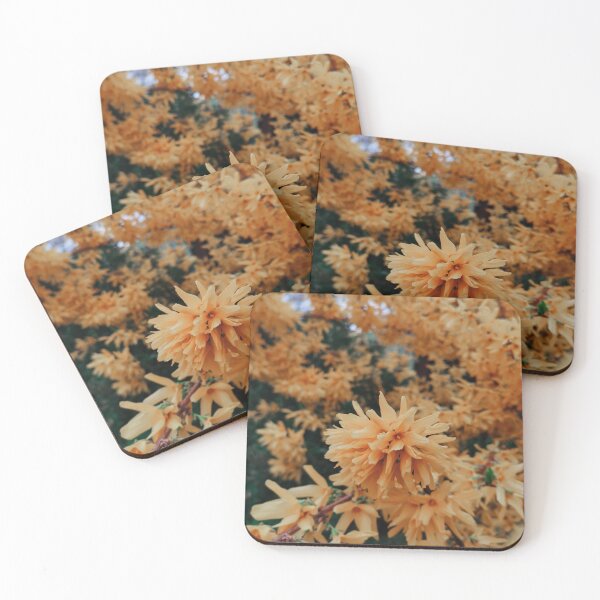 Item preview, Forsythia Flowers designed and sold by Anvc-Art.
