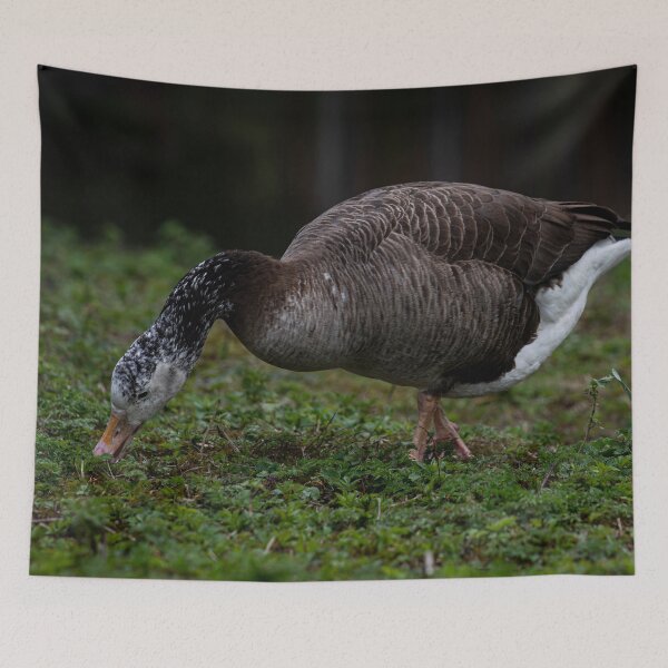 Item preview, Goose designed and sold by craigewmcg123.