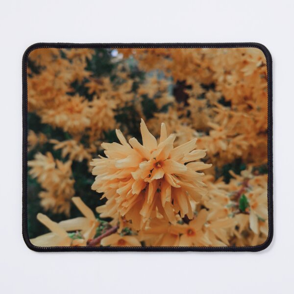 Item preview, Forsythia Flowers designed and sold by Anvc-Art.