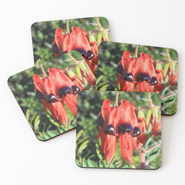 Item preview, Swainsona formosa - Sturt's Desert Pea designed and sold by ausnative.