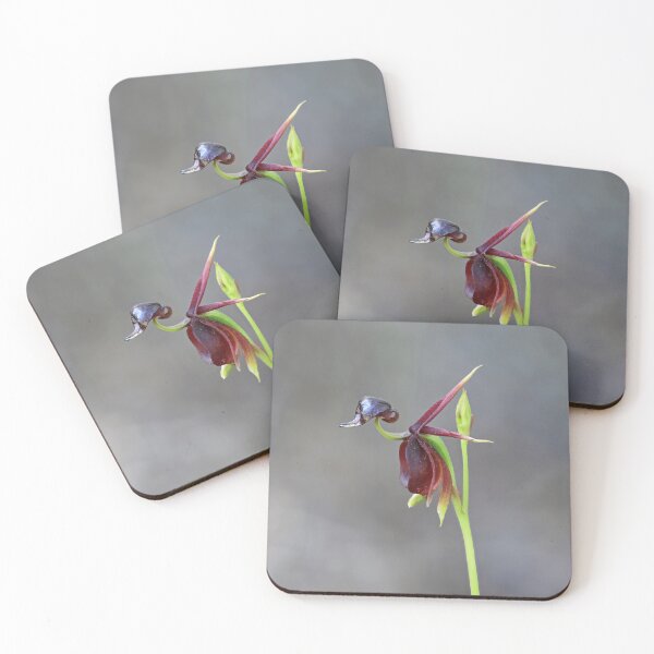 Item preview, Caleana major - Flying Duck Orchid designed and sold by ausnative.