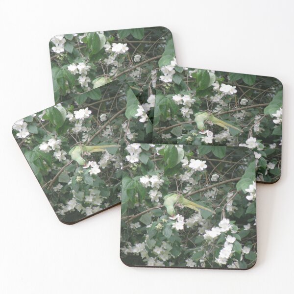 Item preview, Green Parakeet Eating Pretty Flowers designed and sold by naturegallery.