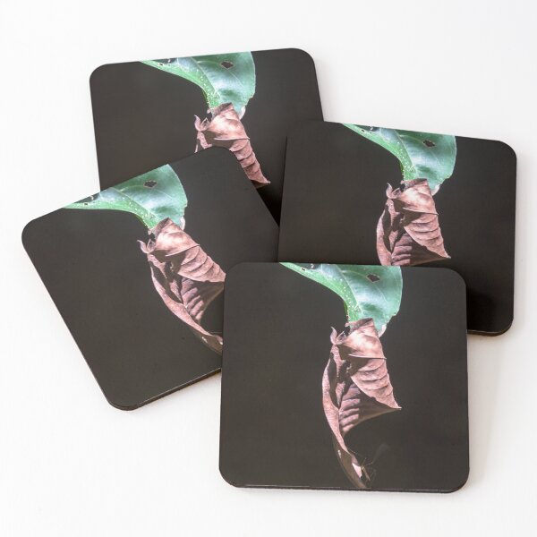 Item preview, leaf and green leaf. designed and sold by Nino rocha fotografia.