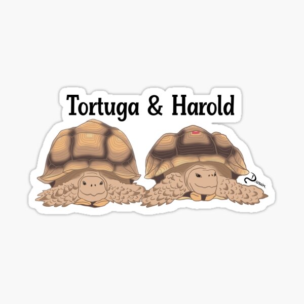 Artikel-Vorschau von Tortuga und Harold die Sulcata-Schildkröten, designt und verkauft von Dulcimer17.
