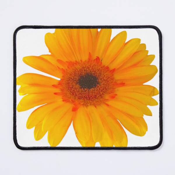 Item preview, Sunflower sticker designed and sold by K Sharrock.