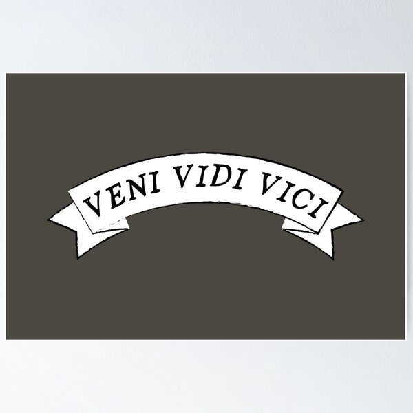 Veni, Vidi, Vici - Dictionary Definition Poster for Sale by StoicWisdom