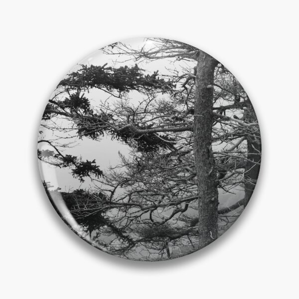 Item preview, Weathered Trees Along Otter Point Acadia designed and sold by Andrew Pacheco.