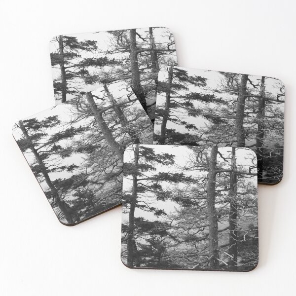 Item preview, Weathered Trees Along Otter Point Acadia designed and sold by Andrew Pacheco.