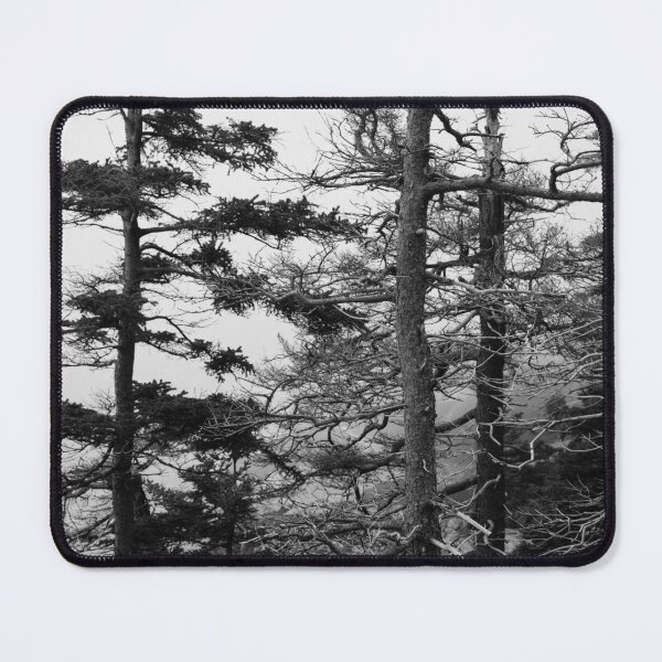 Item preview, Weathered Trees Along Otter Point Acadia designed and sold by Andrew Pacheco.
