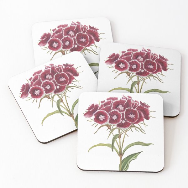 Item preview, Sweet william designed and sold by RebeccaGaleney.