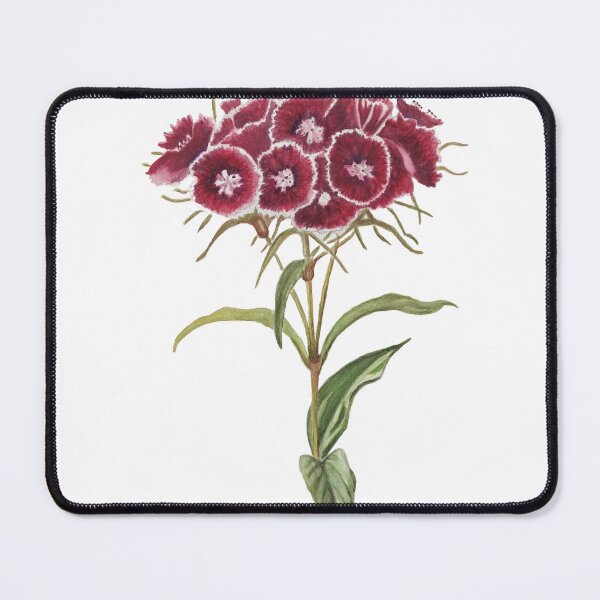 Item preview, Sweet william designed and sold by RebeccaGaleney.