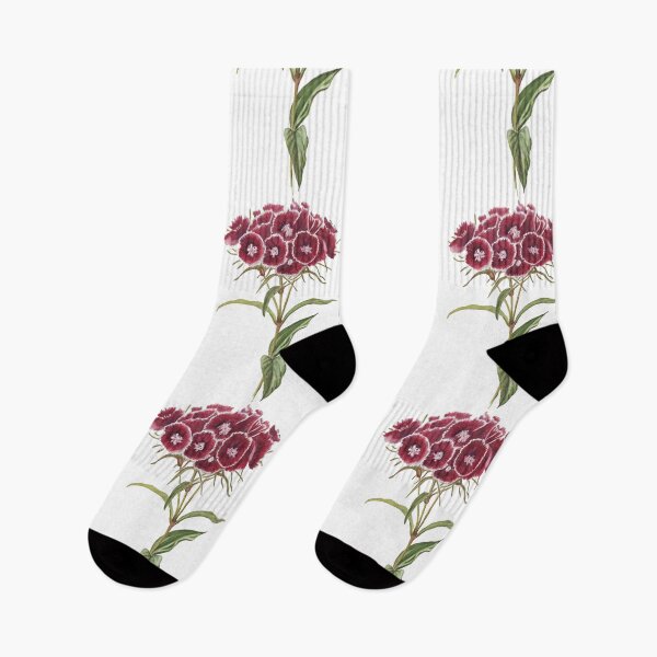 Item preview, Sweet william designed and sold by RebeccaGaleney.
