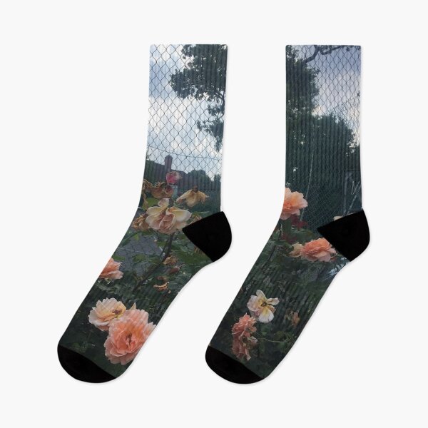 Item preview, peach roses growing in Hendon park designed and sold by SnappedbyRivka.