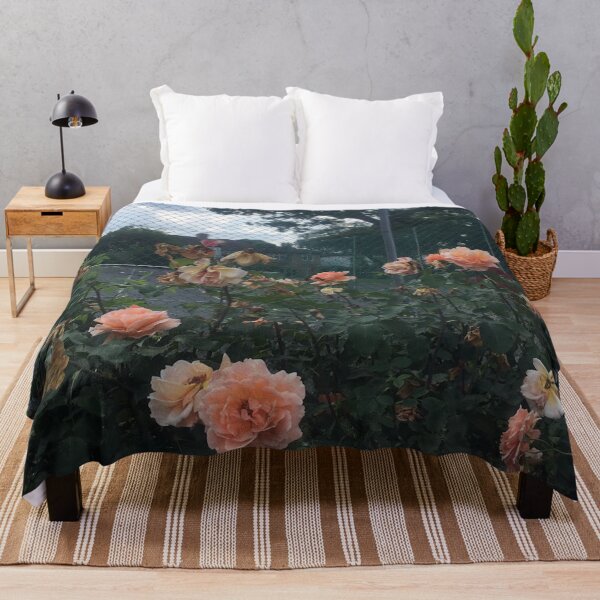 Item preview, peach roses growing in Hendon park designed and sold by SnappedbyRivka.