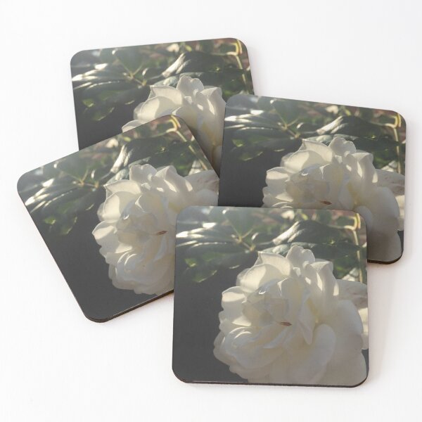 Item preview, white carnation roses  designed and sold by SnappedbyRivka.