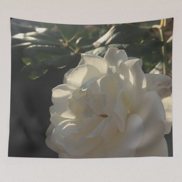 Item preview, white carnation roses  designed and sold by SnappedbyRivka.