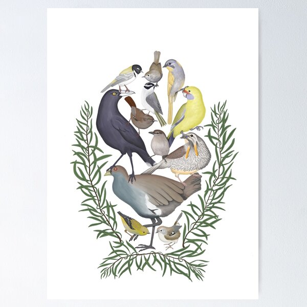 Item preview, Tassie's Endemic Birds designed and sold by Jen Sanger.