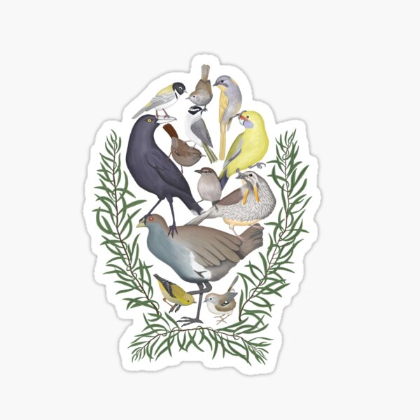 Item preview, Tassie's Endemic Birds designed and sold by Jen Sanger.