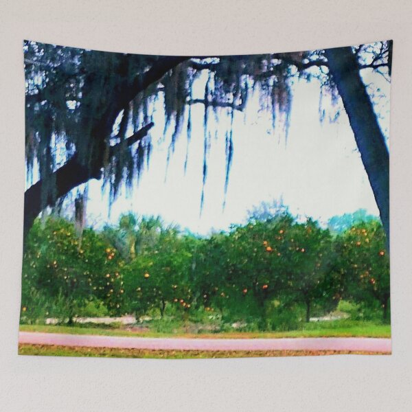 Artikelvorschau, Orangenhaine in Florida. Fort Ogden, Florida. Ziba-König-Gedenkpark. entworfen und verkauft von tuckersemporium.