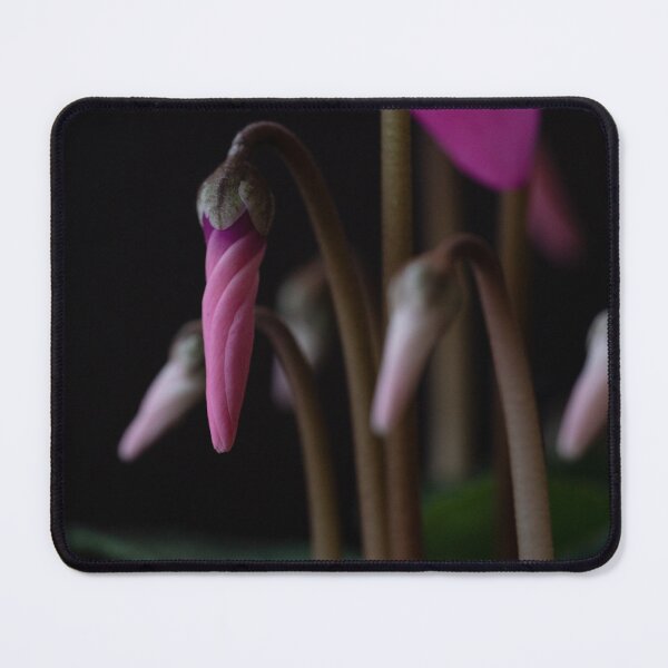 Item preview, PERSIAN CYCLAMEN designed and sold by ezzy-co.