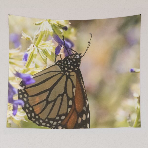 Item preview, monarca de mexico designed and sold by Jacquelie.